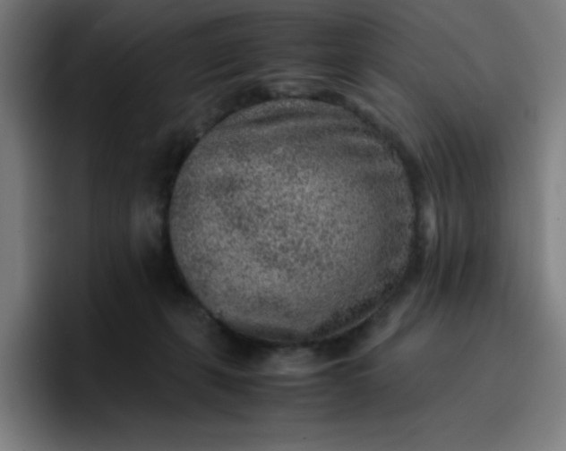 X0000096730271200802191554