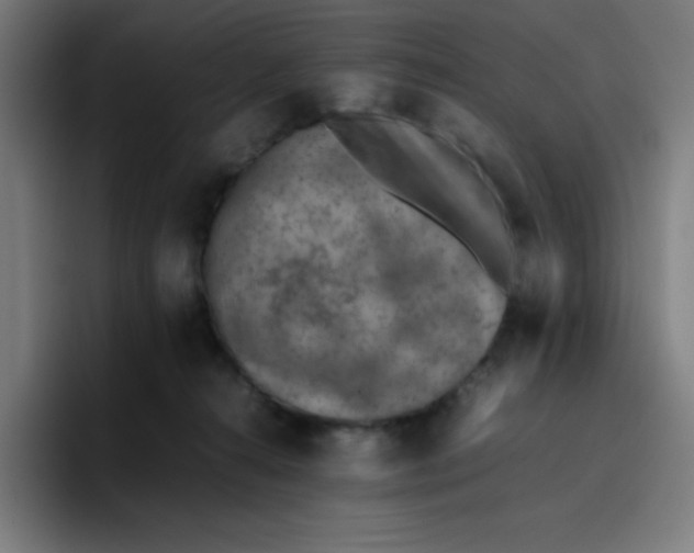 X0000096730272200802191554