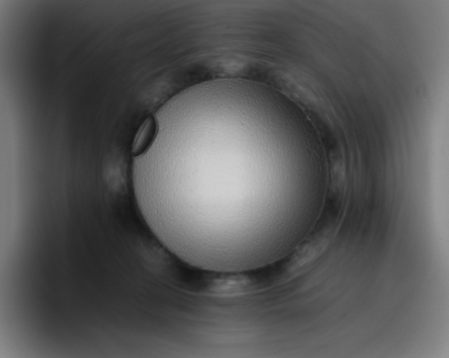 X0000096730274200802191554