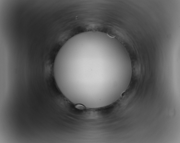 X0000096730276200802191554