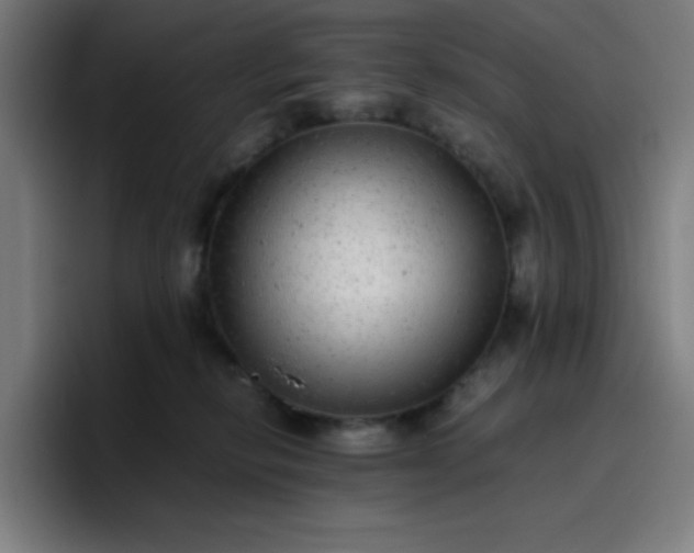 X0000096730278200802191554