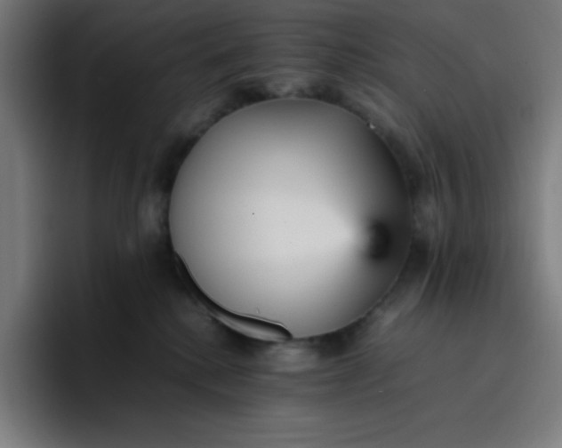 X0000096730280200802191554