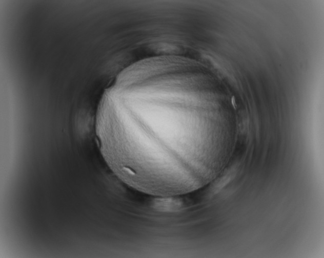 X0000096730281200802191554