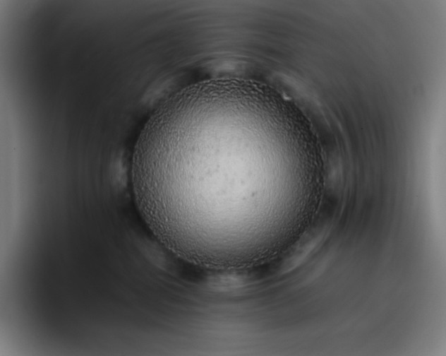 X0000096730282200802191554