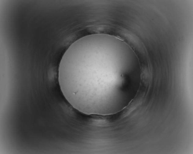 X0000096730284200802191554