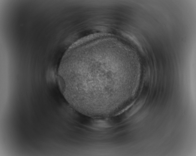 X0000096730285200802191554