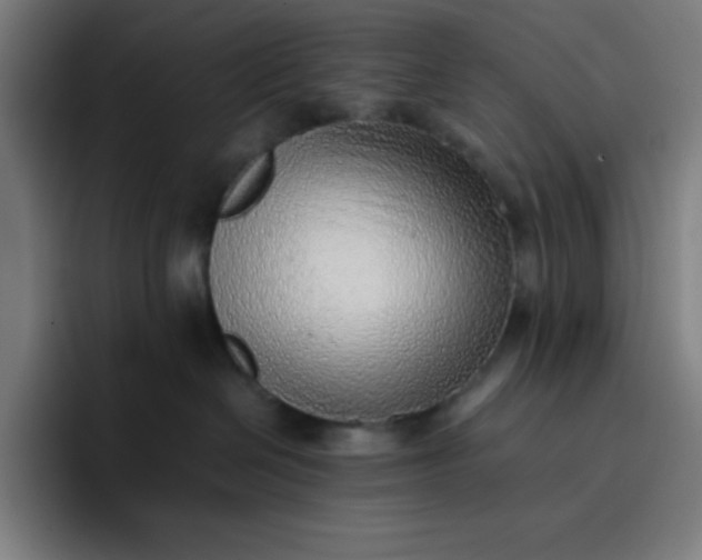 X0000096730286200802191554