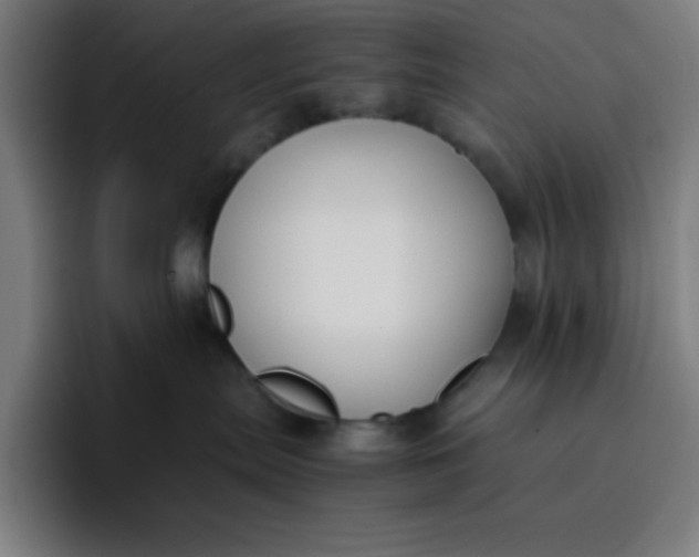 X0000096730287200802191554