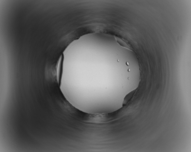 X0000096730288200802191554