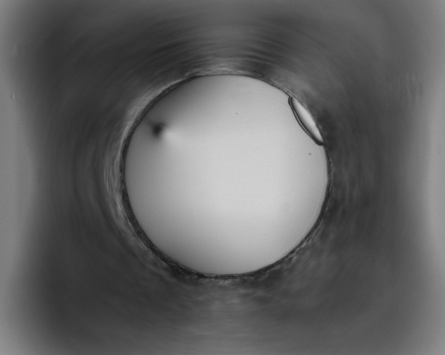 X0000096730289200802191554