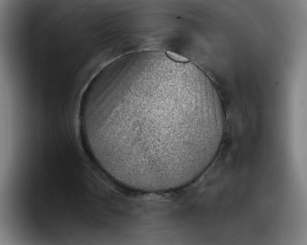 X0000096730290200802191554