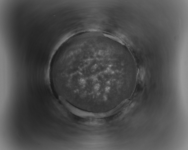 X0000096730292200802191554