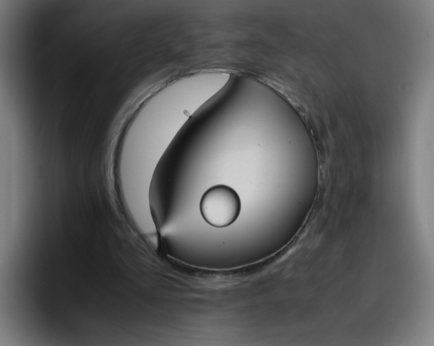 X0000096730293200802191554