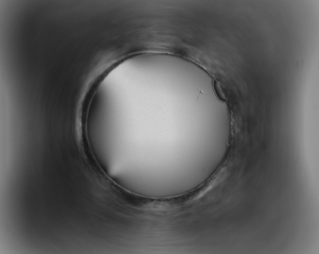 X0000096730294200802191554