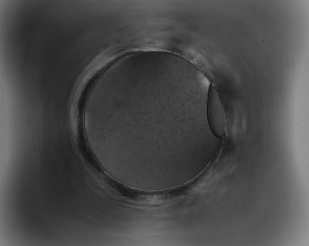 X0000096730295200802191554