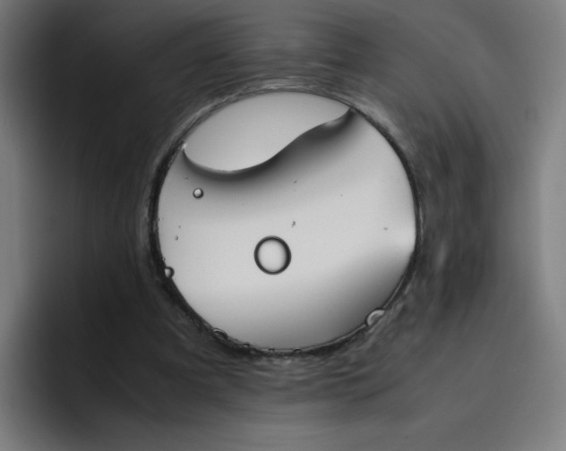 X0000096730297200802191554