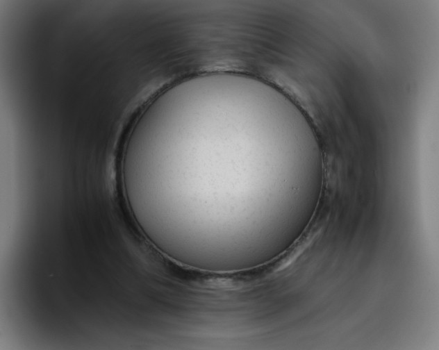 X0000096730298200802191554