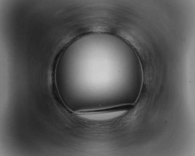 X0000096730299200802191554