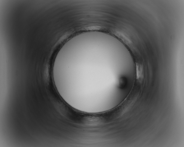 X0000096730300200802191554