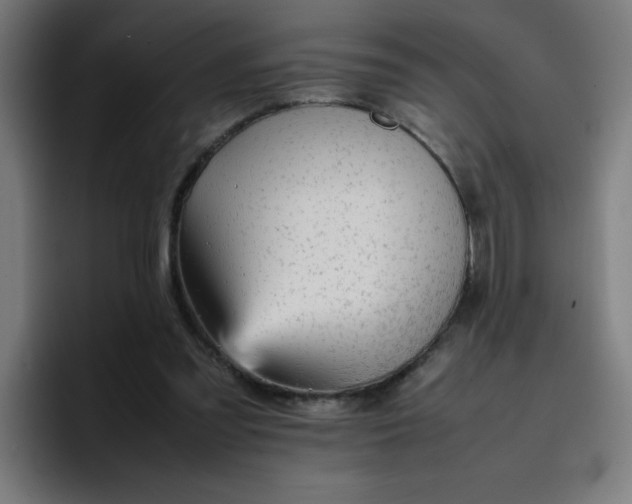 X0000096730301200802191554