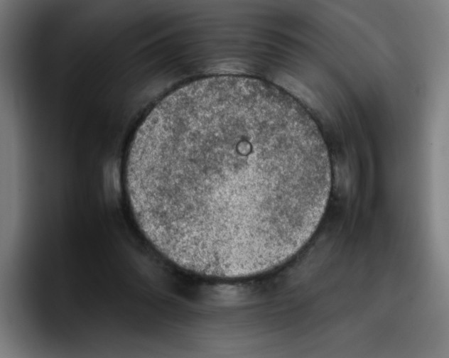 X0000096730302200802191554