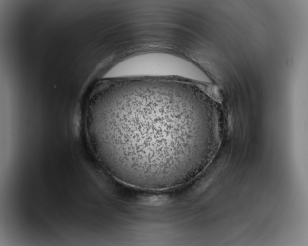 X0000096730304200802191554