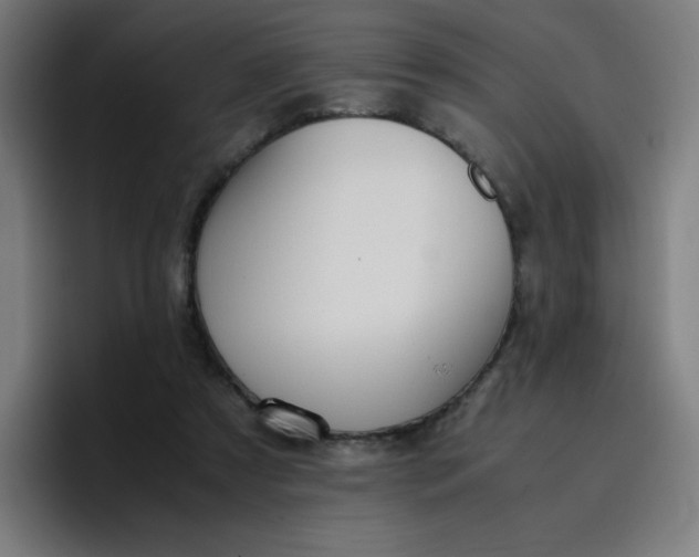 X0000096730305200802191554