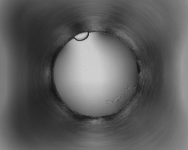 X0000096730306200802191554