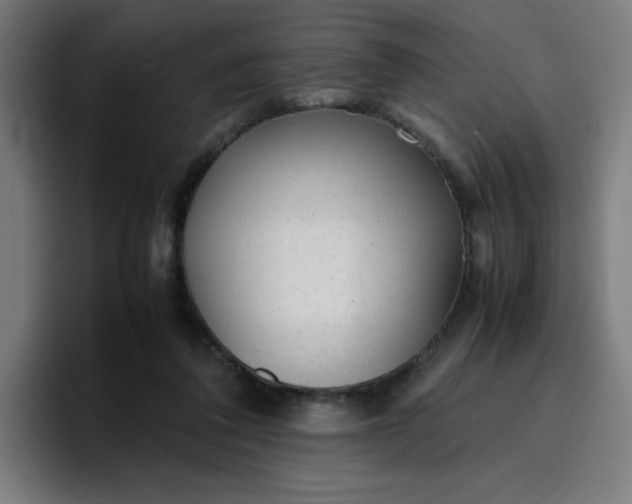 X0000096730308200802191554