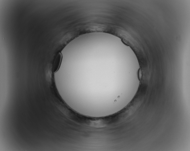 X0000096730309200802191553