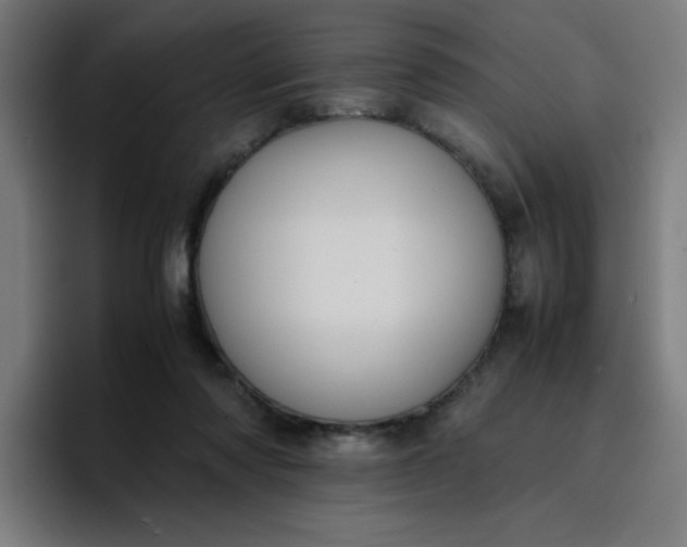 X0000096730310200802191553