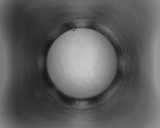 X0000096730311200802191553