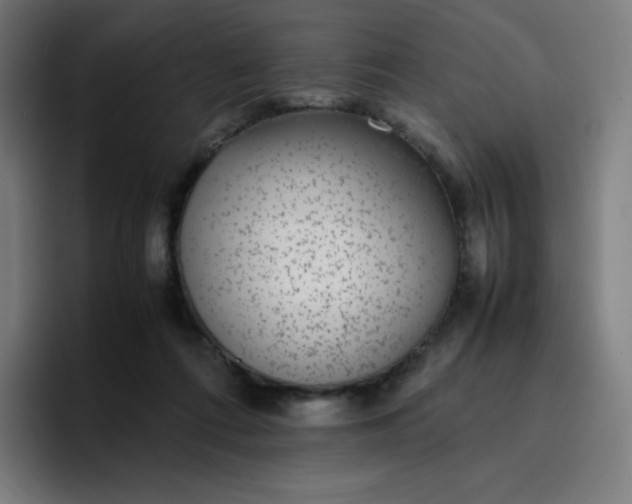 X0000096730312200802191553