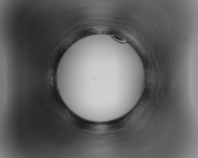 X0000096730313200802191553