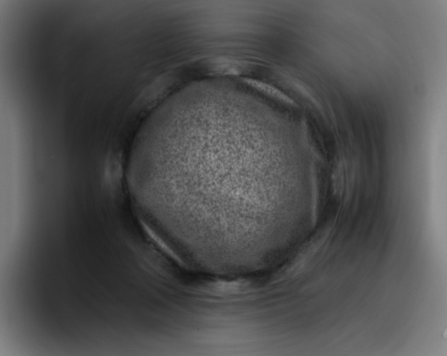 X0000096730314200802191553