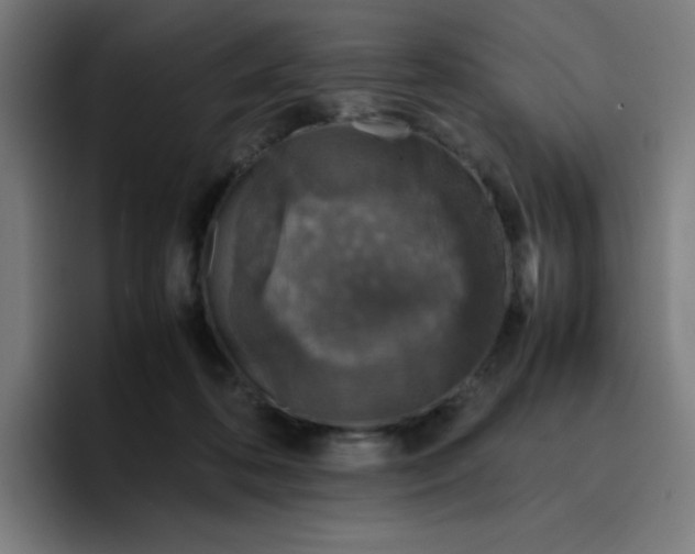 X0000096730316200802191553