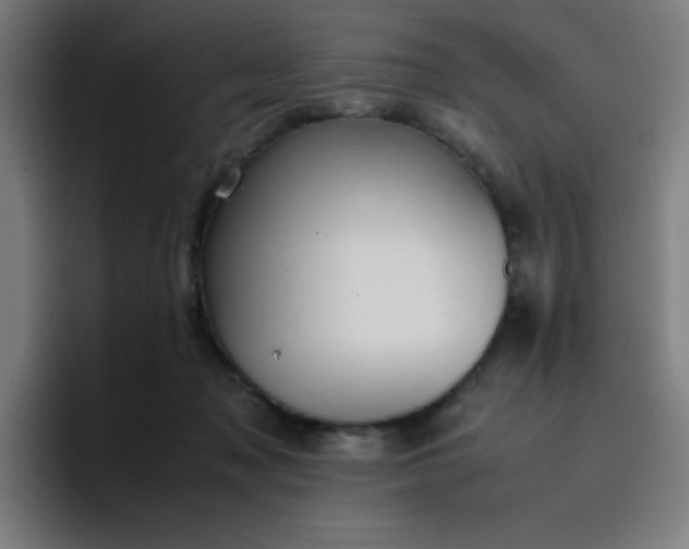 X0000096730317200802191553