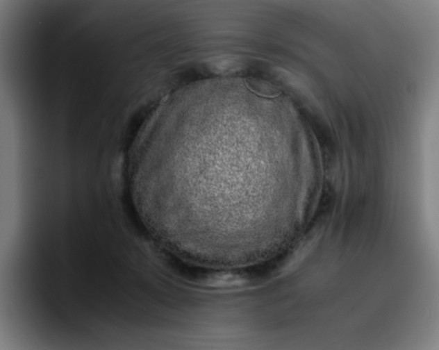 X0000096730319200802191553