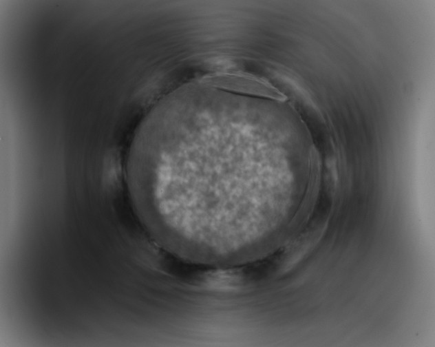 X0000096730320200802191553