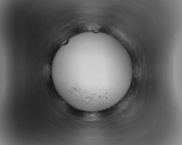 X0000096730321200802191553