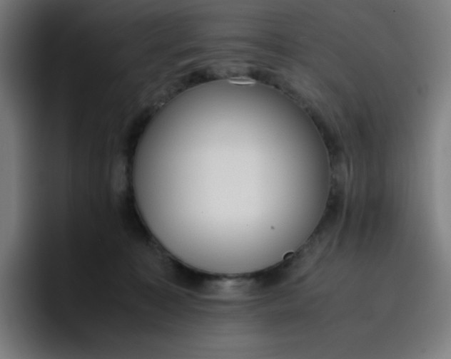 X0000096730323200802191553