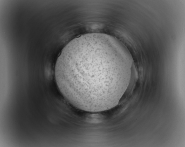 X0000096730324200802191553