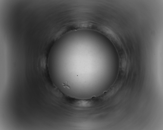 X0000096730326200802191553