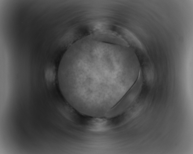 X0000096730328200802191553