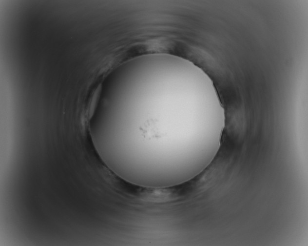 X0000096730329200802191553