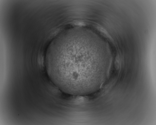 X0000096730330200802191553