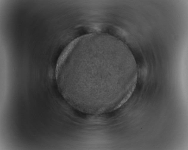 X0000096730331200802191553