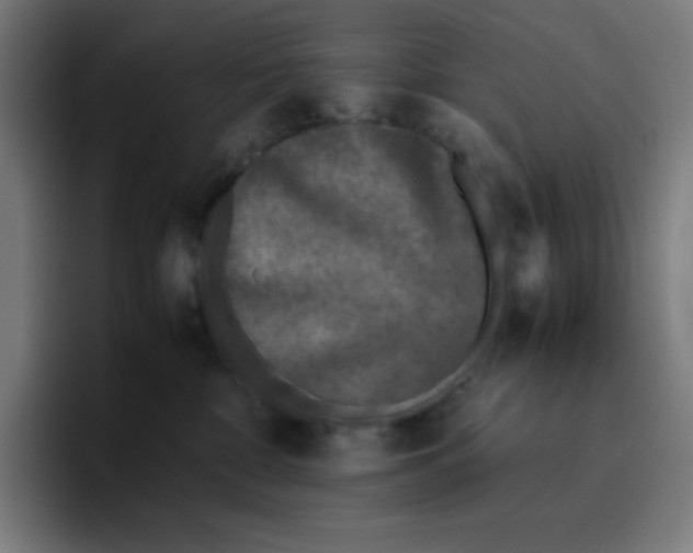 X0000096730332200802191553