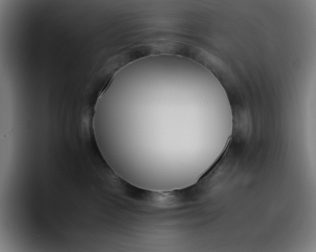 X0000096730333200802191553