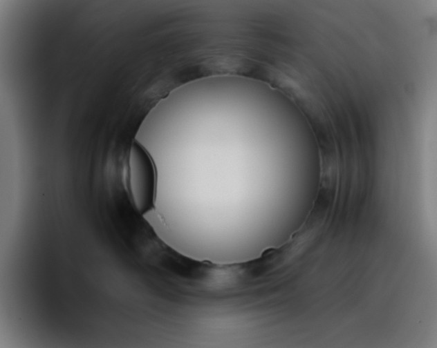 X0000096730334200802191553